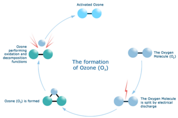 Ozone Formation Diagram