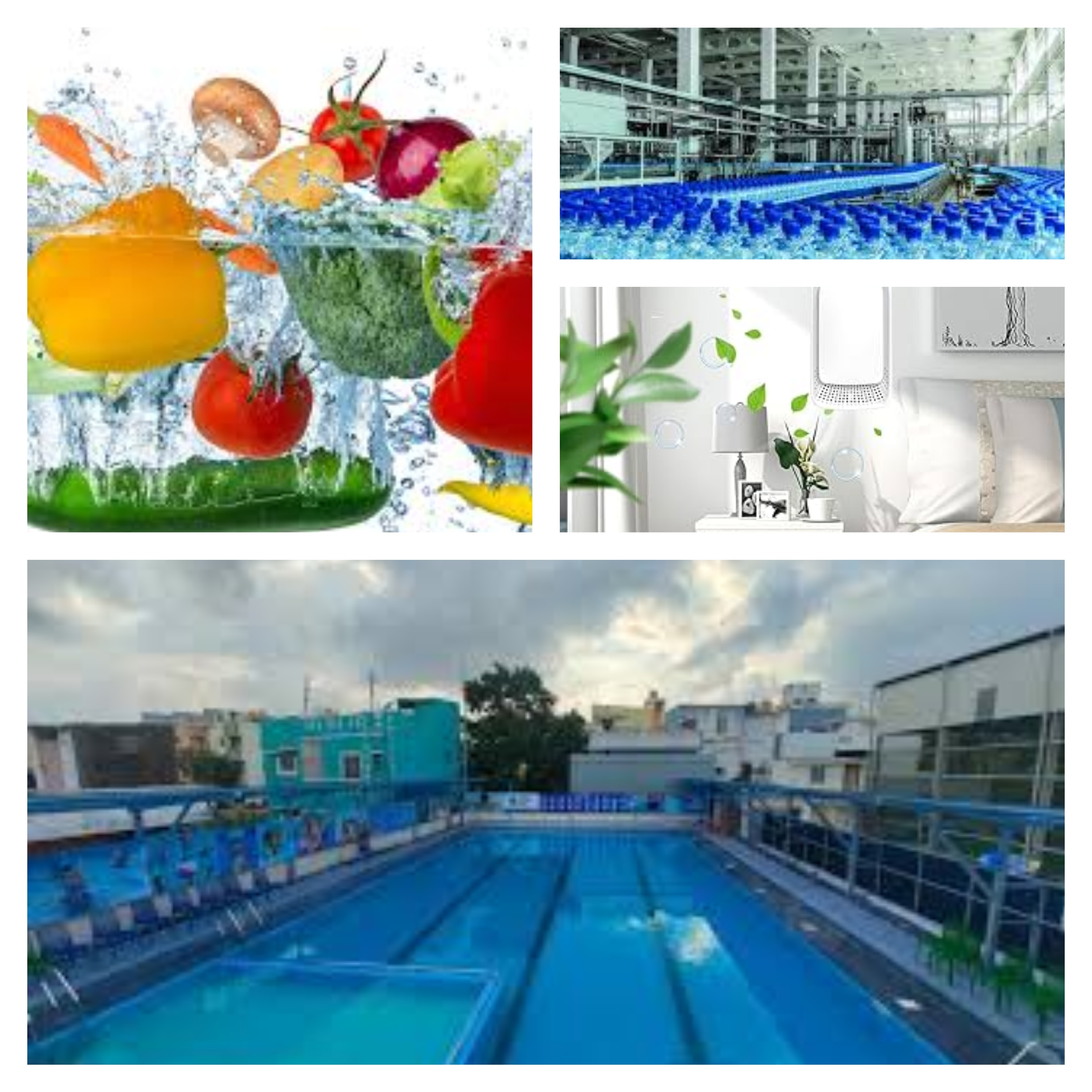 Vithal Eco Tech Products